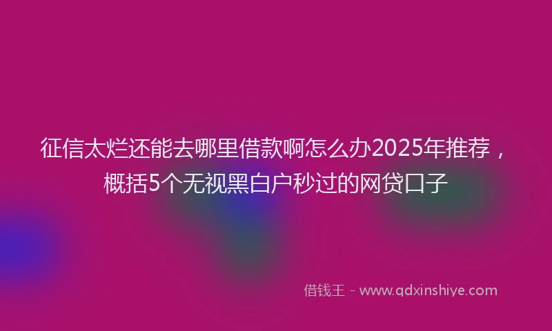 征信太烂还能去哪里借款啊怎么办2025年推荐，概括5个无视黑白户秒过的网贷口子