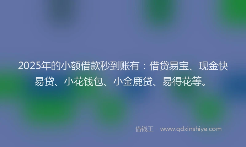 2025年的小额借款秒到账有：借贷易宝、现金快易贷、小花钱包、小金鹿贷、易得花等。