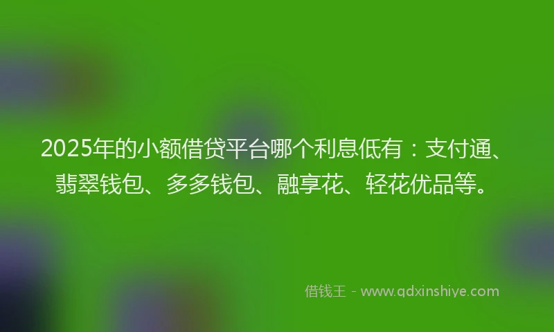 2025年的小额借贷平台哪个利息低有：支付通、翡翠钱包、多多钱包、融享花、轻花优品等。