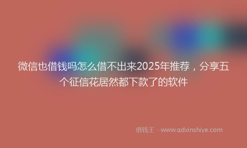 微信也借钱吗怎么借不出来2025年推荐，分享五个征信花居然都下款了的软件