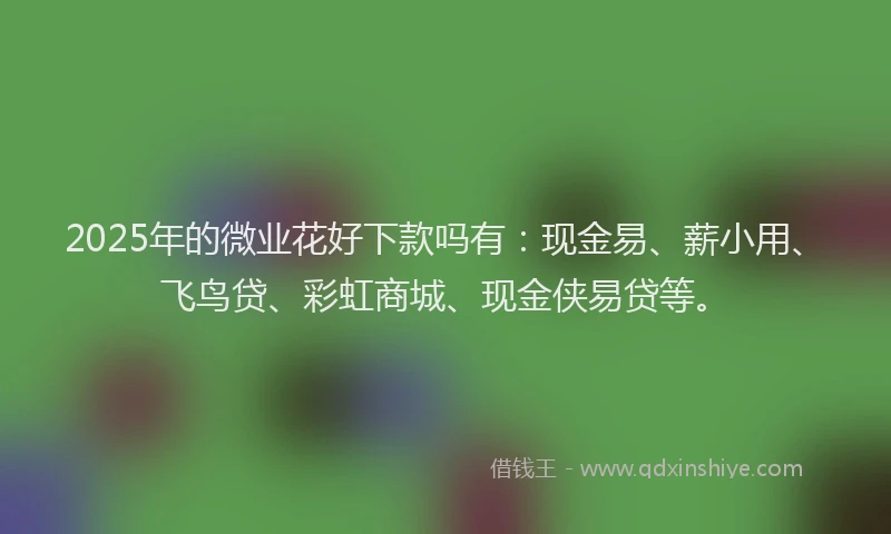 2025年的微业花好下款吗有：现金易、薪小用、飞鸟贷、彩虹商城、现金侠易贷等。