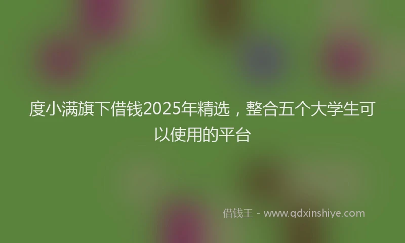 度小满旗下借钱2025年精选，整合五个大学生可以使用的平台