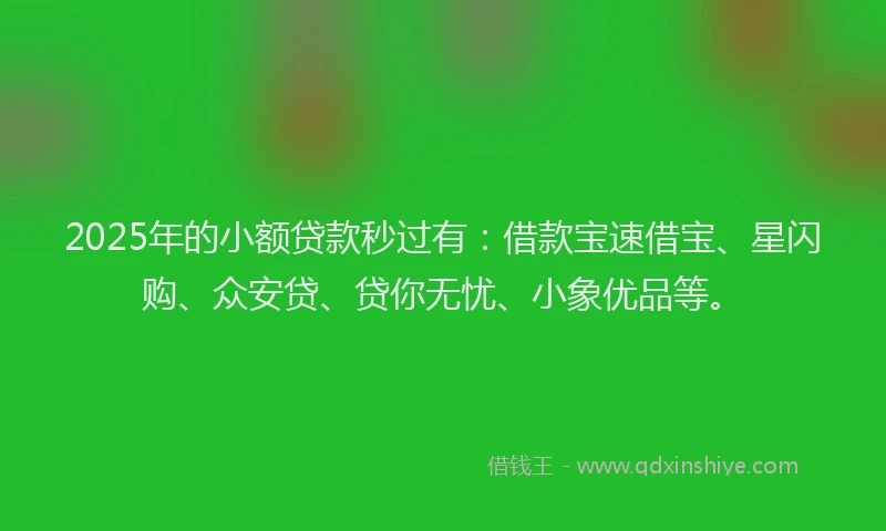 2025年的小额贷款秒过有：借款宝速借宝、星闪购、众安贷、贷你无忧、小象优品等。