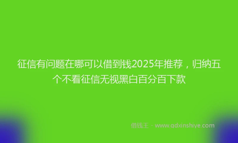 征信有问题在哪可以借到钱2025年推荐，归纳五个不看征信无视黑白百分百下款