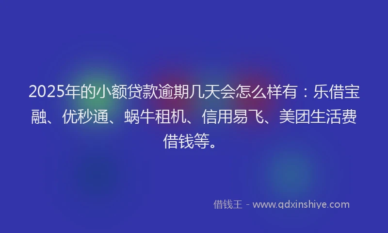 2025年的小额贷款逾期几天会怎么样有：乐借宝融、优秒通、蜗牛租机、信用易飞、美团生活费借钱等。