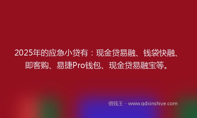 2025年的应急小贷有：现金贷易融、钱袋快融、即客购、易捷Pro钱包、现金贷易融宝等。