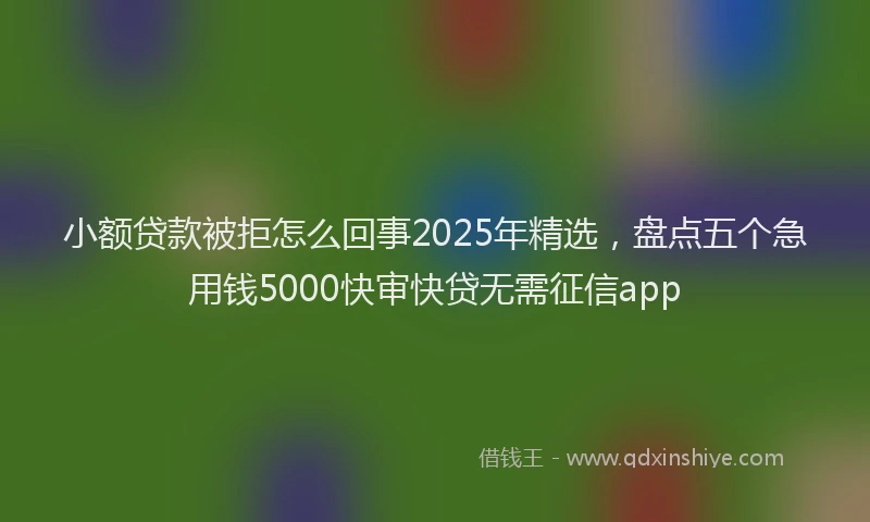 小额贷款被拒怎么回事2025年精选，盘点五个急用钱5000快审快贷无需征信app