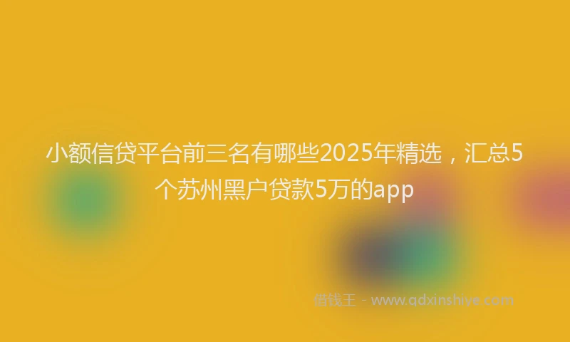 小额信贷平台前三名有哪些2025年精选，汇总5个苏州黑户贷款5万的app