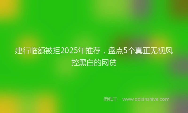 建行临额被拒2025年推荐，盘点5个真正无视风控黑白的网贷