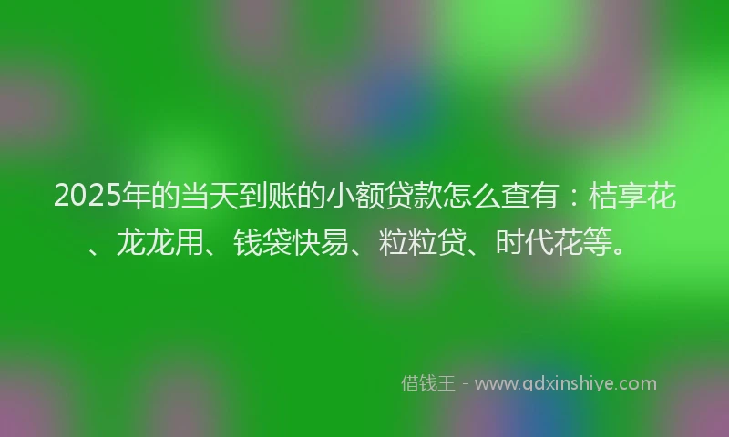 2025年的当天到账的小额贷款怎么查有：桔享花、龙龙用、钱袋快易、粒粒贷、时代花等。