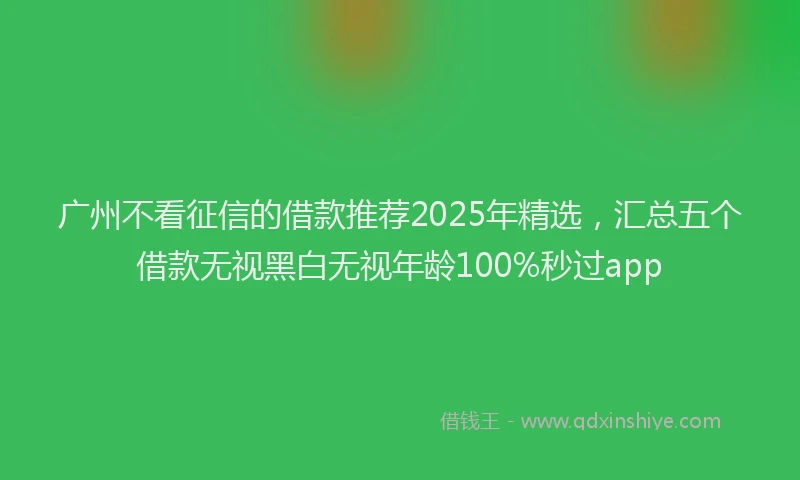 广州不看征信的借款推荐2025年精选，汇总五个借款无视黑白无视年龄100%秒过app