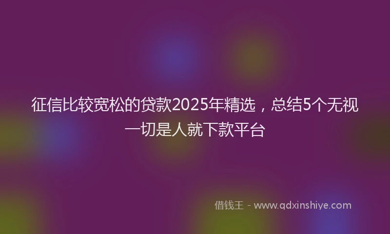 征信比较宽松的贷款2025年精选，总结5个无视一切是人就下款平台