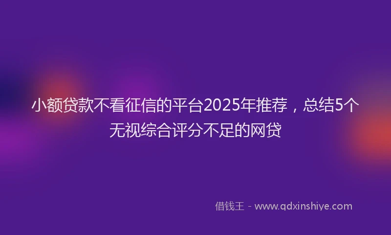 小额贷款不看征信的平台2025年推荐，总结5个无视综合评分不足的网贷