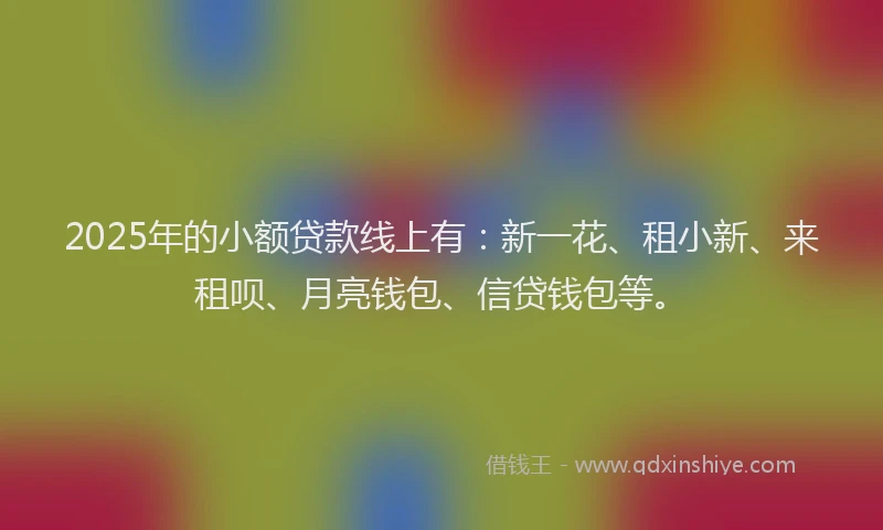 2025年的小额贷款线上有：新一花、租小新、来租呗、月亮钱包、信贷钱包等。
