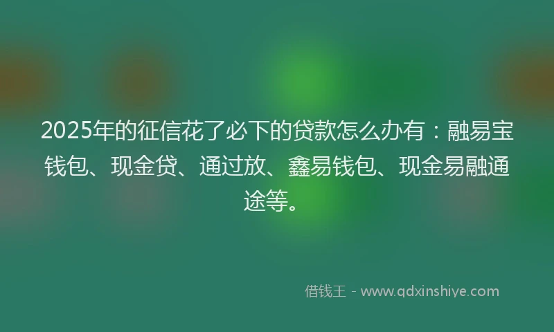 2025年的征信花了必下的贷款怎么办有：融易宝钱包、现金贷、通过放、鑫易钱包、现金易融通途等。