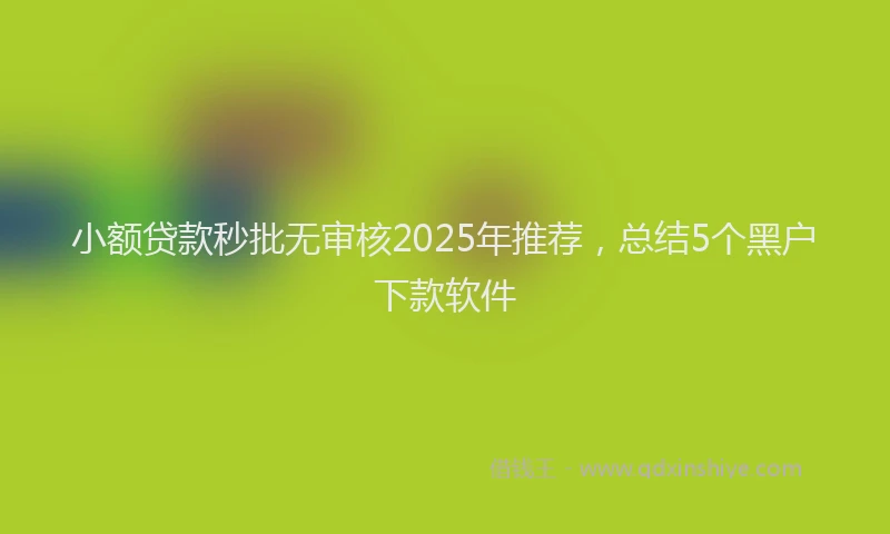 小额贷款秒批无审核2025年推荐，总结5个黑户下款软件