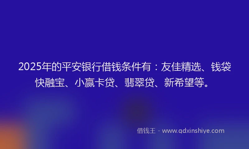 2025年的平安银行借钱条件有：友佳精选、钱袋快融宝、小赢卡贷、翡翠贷、新希望等。