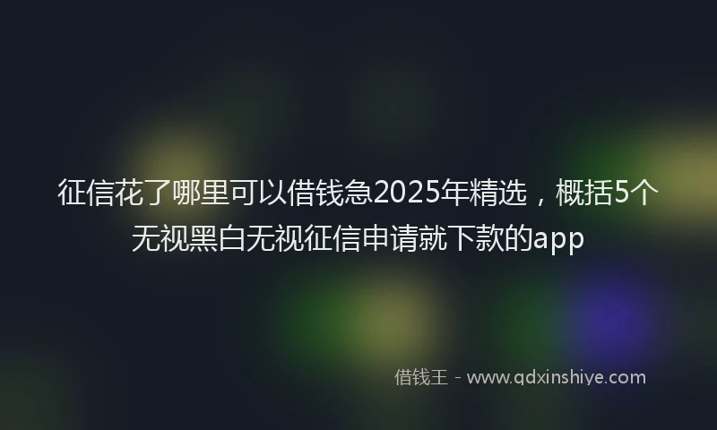 征信花了哪里可以借钱急2025年精选，概括5个无视黑白无视征信申请就下款的app