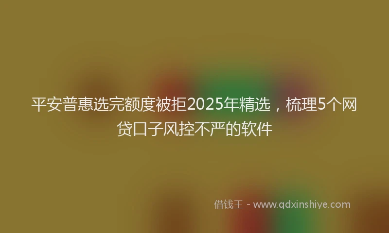 平安普惠选完额度被拒2025年精选，梳理5个网贷口子风控不严的软件