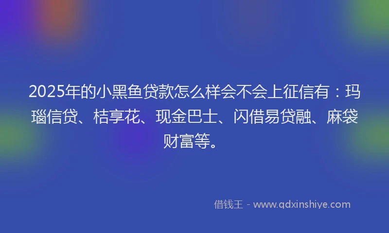2025年的小黑鱼贷款怎么样会不会上征信有：玛瑙信贷、桔享花、现金巴士、闪借易贷融、麻袋财富等。