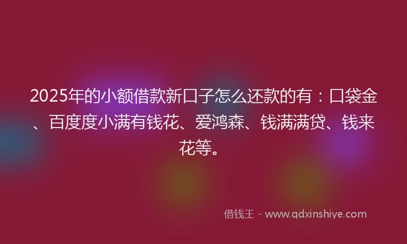 2025年的小额借款新口子怎么还款的有：口袋金、百度度小满有钱花、爱鸿森、钱满满贷、钱来花等。