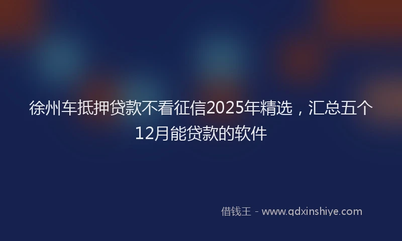 徐州车抵押贷款不看征信2025年精选，汇总五个12月能贷款的软件