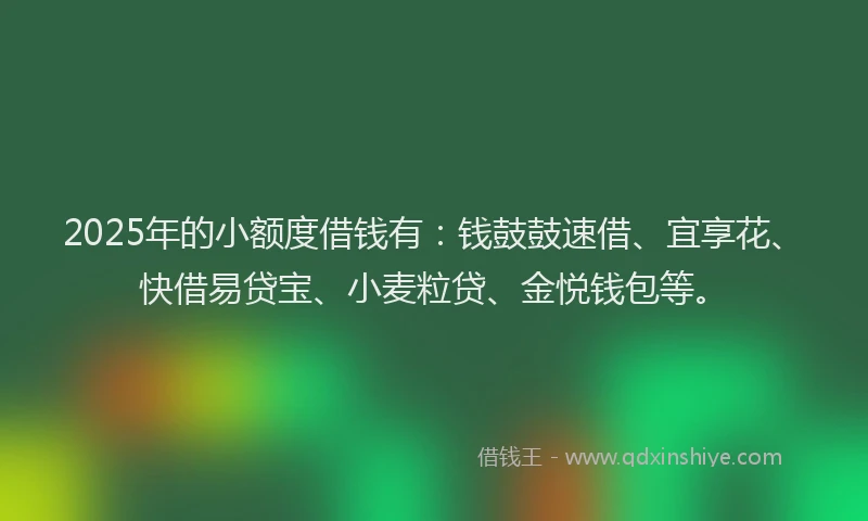2025年的小额度借钱有：钱鼓鼓速借、宜享花、快借易贷宝、小麦粒贷、金悦钱包等。