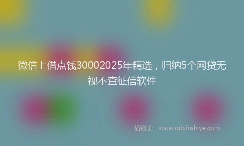 微信上借点钱30002025年精选，归纳5个网贷无视不查征信软件