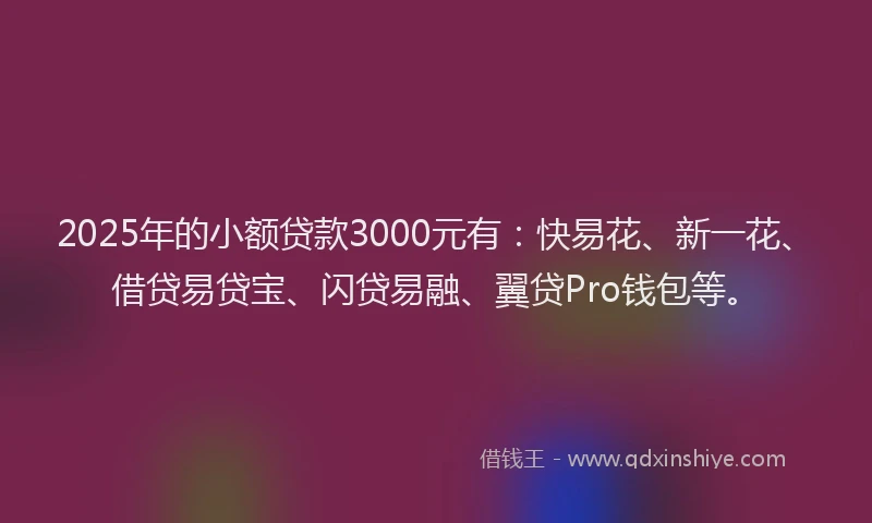2025年的小额贷款3000元有：快易花、新一花、借贷易贷宝、闪贷易融、翼贷Pro钱包等。