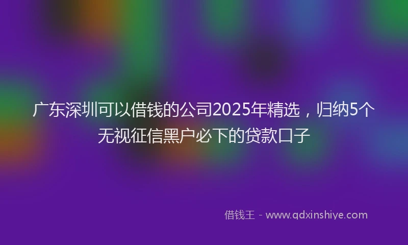 广东深圳可以借钱的公司2025年精选，归纳5个无视征信黑户必下的贷款口子