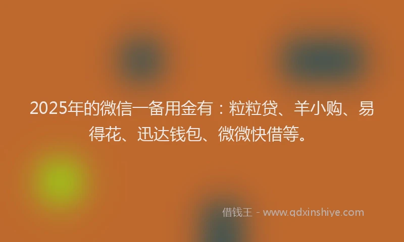 2025年的微信一备用金有：粒粒贷、羊小购、易得花、迅达钱包、微微快借等。