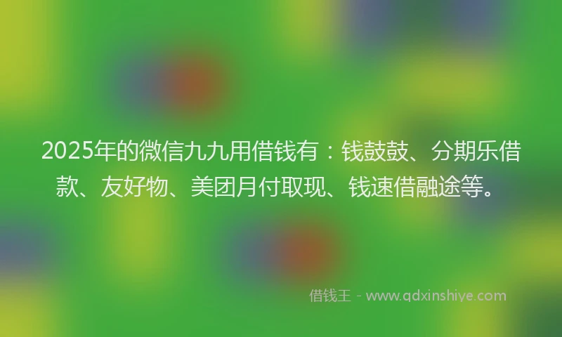 2025年的微信九九用借钱有：钱鼓鼓、分期乐借款、友好物、美团月付取现、钱速借融途等。