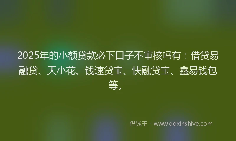 2025年的小额贷款必下口子不审核吗有：借贷易融贷、天小花、钱速贷宝、快融贷宝、鑫易钱包等。