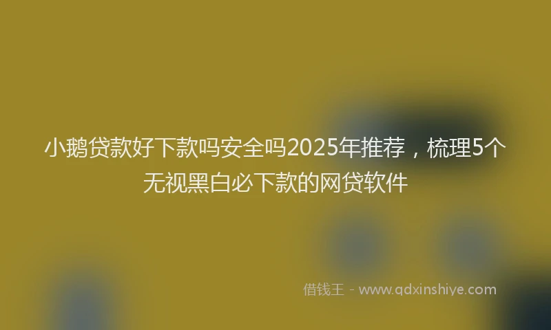 小鹅贷款好下款吗安全吗2025年推荐，梳理5个无视黑白必下款的网贷软件