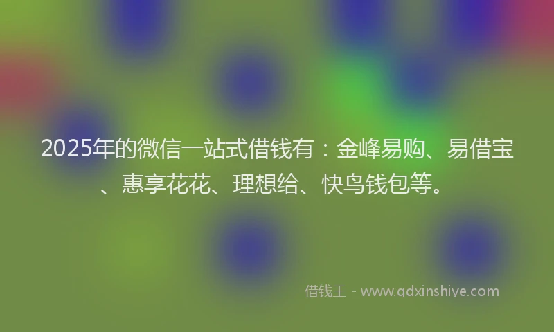 2025年的微信一站式借钱有：金峰易购、易借宝、惠享花花、理想给、快鸟钱包等。