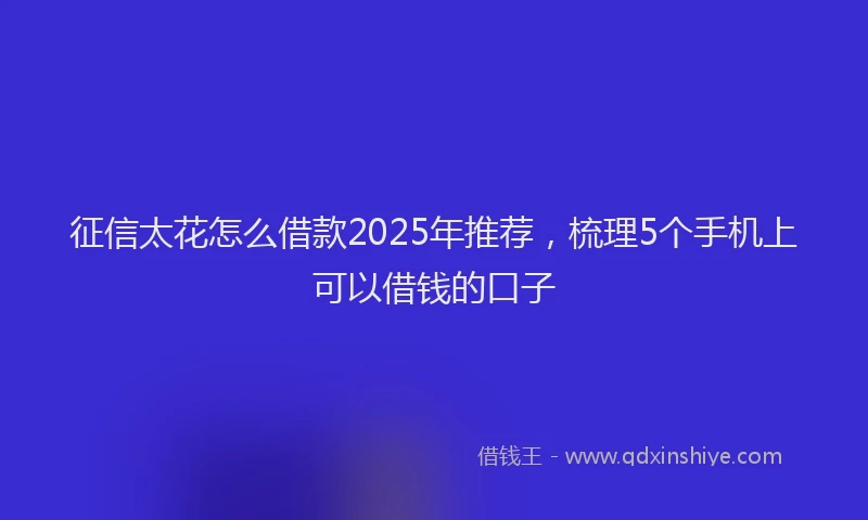 征信太花怎么借款2025年推荐，梳理5个手机上可以借钱的口子