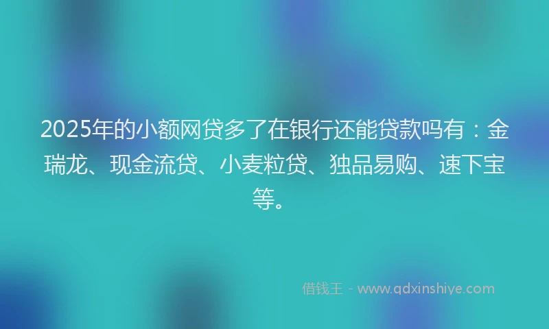 2025年的小额网贷多了在银行还能贷款吗有：金瑞龙、现金流贷、小麦粒贷、独品易购、速下宝等。