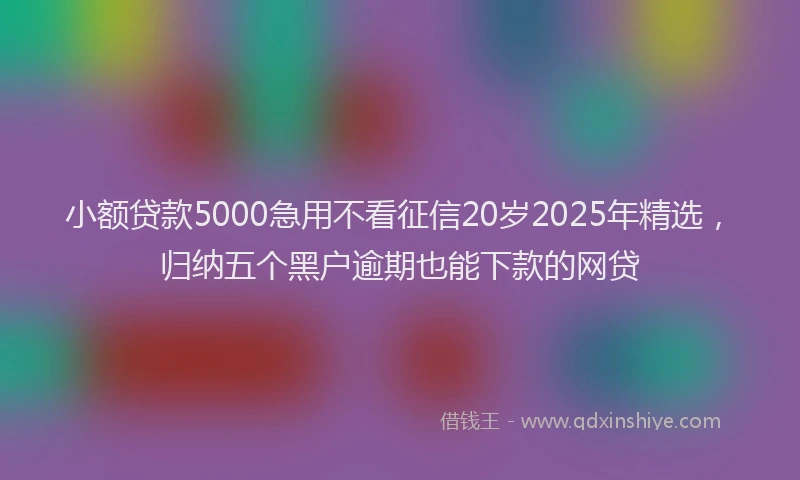 小额贷款5000急用不看征信20岁2025年精选，归纳五个黑户逾期也能下款的网贷