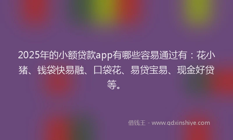 2025年的小额贷款app有哪些容易通过有：花小猪、钱袋快易融、口袋花、易贷宝易、现金好贷等。
