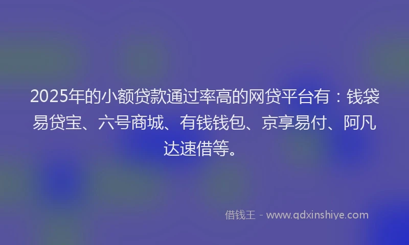 2025年的小额贷款通过率高的网贷平台有：钱袋易贷宝、六号商城、有钱钱包、京享易付、阿凡达速借等。