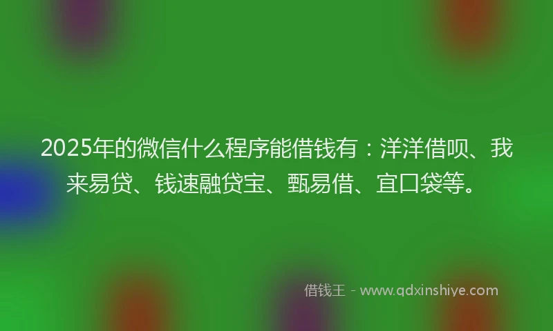2025年的微信什么程序能借钱有：洋洋借呗、我来易贷、钱速融贷宝、甄易借、宜口袋等。