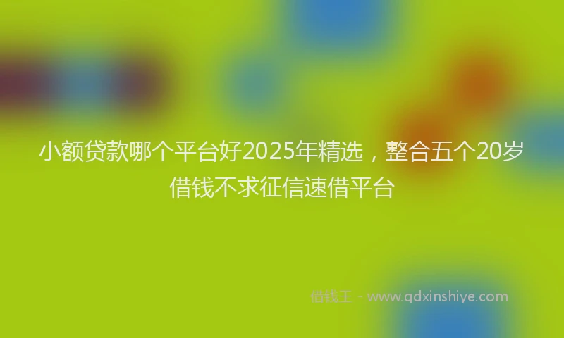 小额贷款哪个平台好2025年精选，整合五个20岁借钱不求征信速借平台