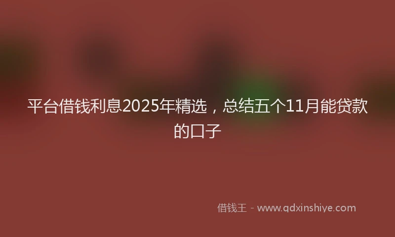 平台借钱利息2025年精选，总结五个11月能贷款的口子