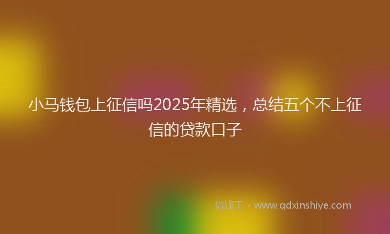 小马钱包上征信吗2025年精选，总结五个不上征信的贷款口子