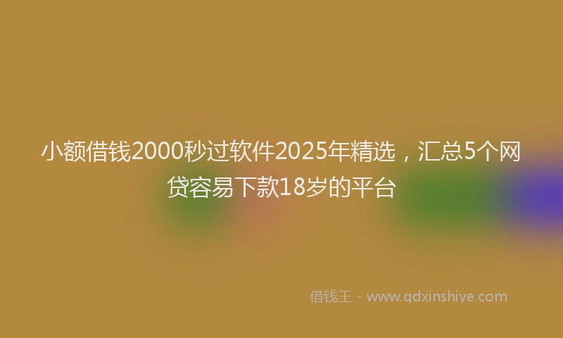 小额借钱2000秒过软件2025年精选，汇总5个网贷容易下款18岁的平台