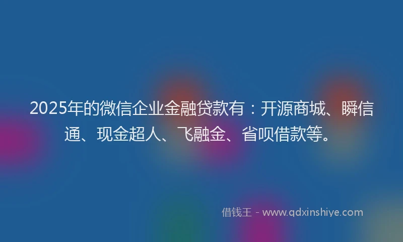 2025年的微信企业金融贷款有：开源商城、瞬信通、现金超人、飞融金、省呗借款等。