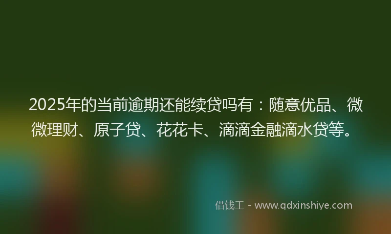 2025年的当前逾期还能续贷吗有：随意优品、微微理财、原子贷、花花卡、滴滴金融滴水贷等。