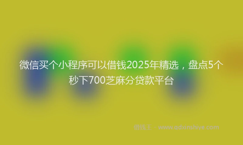 微信买个小程序可以借钱2025年精选，盘点5个秒下700芝麻分贷款平台