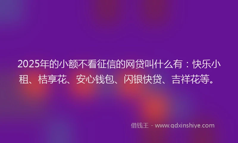2025年的小额不看征信的网贷叫什么有：快乐小租、桔享花、安心钱包、闪银快贷、吉祥花等。