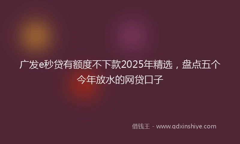 广发e秒贷有额度不下款2025年精选，盘点五个今年放水的网贷口子